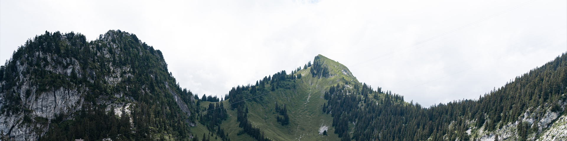 青海方揚(yáng)國(guó)際旅行社有限公司駐馬店學(xué)院路店