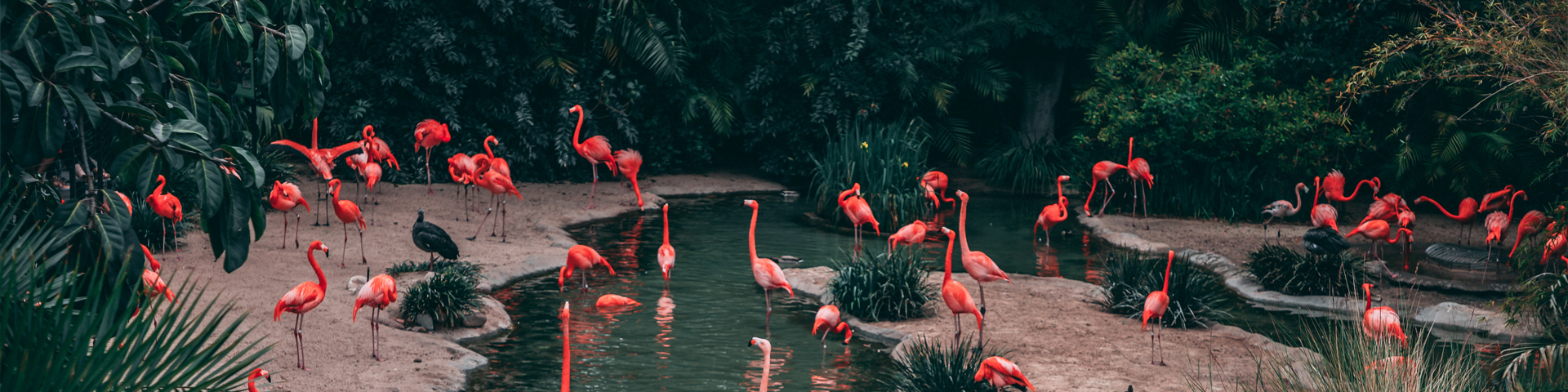 青海方揚國際旅行社有限公司駐馬店學(xué)院路店